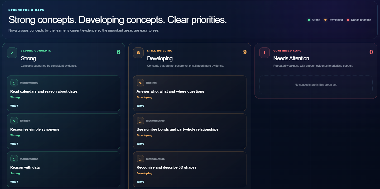 NOVA+ STRENGTHS & GAPS screenshot